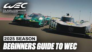 Beginners Guide to the 2025 FIA WEC  I Qatar 1812 KM