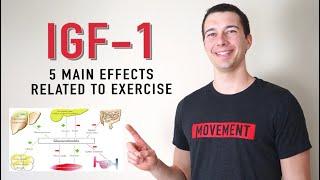 5 Functions of IGF-1 | What does IGF 1 Do?