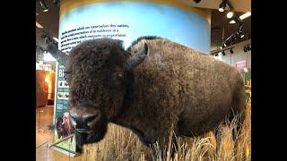 Rocky Mountain Arsenal National Wildlife Refuge