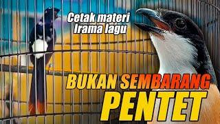 RAHASIA MENCETAK MATERI IRAMA LAGU MURAI BATU‼️JANGAN SAMPAI NYESEL SALAH PILIH PENTET