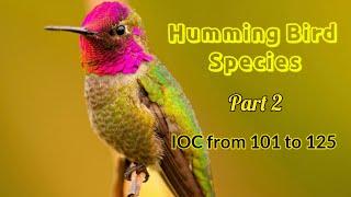 Humming Bird Species - PART II 4K | IOC 101 to125