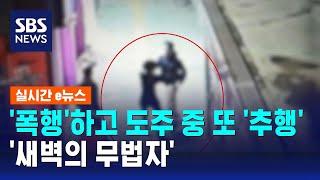 '폭행'하고 도주하면서 또 '추행' 범행…'새벽의 무법자' / SBS / 실시간 e뉴스