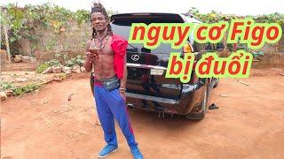 Bốc phốt đại gia ở Châu Phi, tham quan thành quả chuồng trại nhà Nhím Cạp