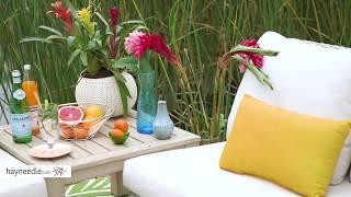 Backyard Patio Ideas: A Tropical Oasis