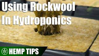 How to Use Rockwool In Hydroponics