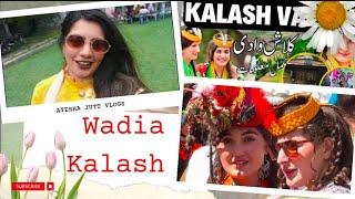 Kailash valley Nazare | Kailash vlogs|Beautiful Valley of Pakistan | Ayesha jutt vlogs| daily Vlogs|