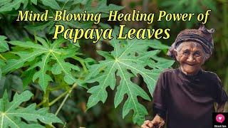 Mind Blowing  Healing Power of Papaya Leaves | Medicinal Plants | Blissed Zone