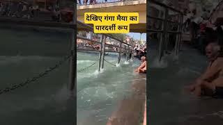 देखिए गंगा मैया का पारदर्शी रूप कैसा #ganga #shorts #haridwarganga #haridwar