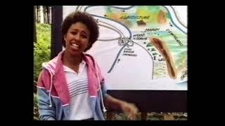 Mind Stretchers - A to B - Solutions - BBC2 1985