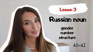 Lesson 3 | Russian noun gender, number, animacy