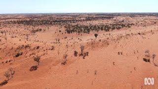 Desert and semi arid landscapes