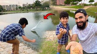 Fishes ko khana khilaney agae  Mustafa Hanif Vlogs