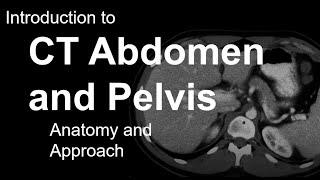 Introduction to CT Abdomen and Pelvis: Anatomy and Approach