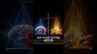 이 3가지만 먹으면 치매괜찮습니다! 의사들이 권하는 치매 예방 식단