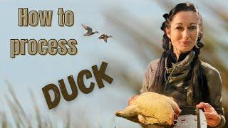 Process Ducks the easy way