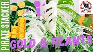 Gold’s Up & It Will Continue!  #gold  #money  #plants