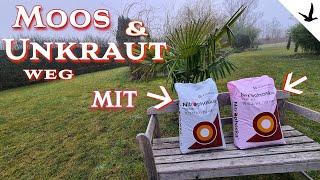 Get rid of moss and weeds with Nitrophoskawhat is this special fertilizer all about?