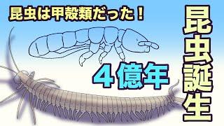 昆虫誕生　４億年　昆虫は甲殻類だった！　地球の歴史　その３９　最初の昆虫化石から、昆虫・甲殻類起源説を語ります