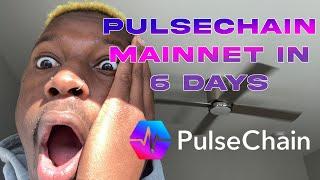 Are You a Pulsechain Millionaire?! | PULSECHAIN Mainnet in 6 Days?!  #NFA #DailyDapper