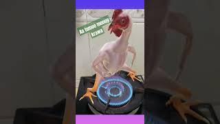 #forgo #viral #meyou #viral #nature #youtubeshorts