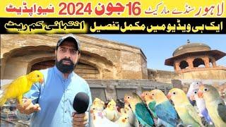 sunday birds market lahore 2024 | sunday birds market latest price update