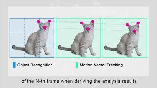 DNN Video Analysis OS