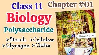Polysaccharide| Starch, Glycogen, Cellulose, Chitin| Chapter #01 Biological molecules Sindh board
