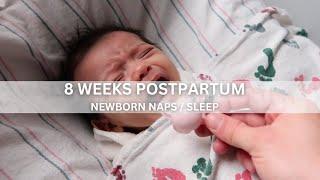 8 WEEKS POSTPARTUM | NEWBORN NAPS & SLEEP / WHAT WE ARE DOING