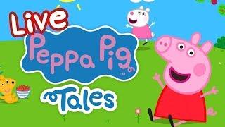  ALL NEW Peppa Pig Tales LIVE 24/7  NEW Peppa Tales Episodes Livestream!