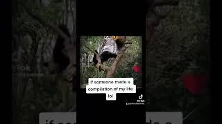 a slide show of the entirety of my life  #panda #ilovepandas #pandagang