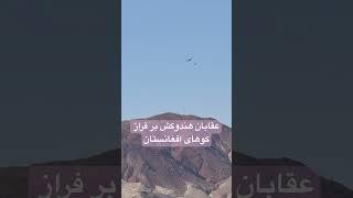 #shorts #viralvideo #eagle #afghanistan #mountain