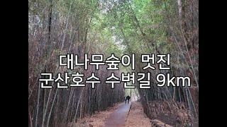 [DS160] 군산호수 수변길_9km​   " 대나무숲이 멋진 군산호수 둘레길입니다. "