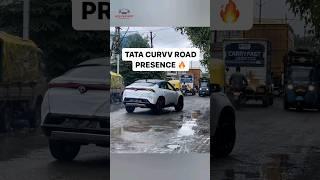 Tata Curvv New Colour!! Tata Curvv Road Presence | Tata Curvv 2024 | Curvv On Road | Youtube Shorts