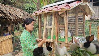 17 year old single mother builds rabbit cages and builds a farm daily life - ly nha hien