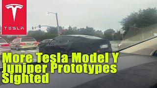 More Tesla Model Y Juniper Prototypes Sighted