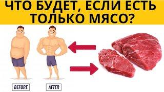  Что будет, если есть только мясо. Польза и вред мяса. Мясо польза и вред для организма