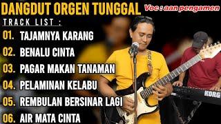 DANGDUT ORGEN TUNGGAL LAGU MANSYUR S || COVER VOCAL AAN PENGAMEN