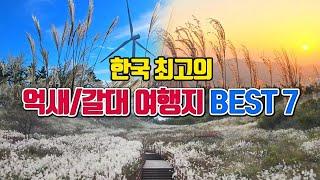 한국 최고의 억새와 갈대 여행지 BEST7 /10월 국내여행지 추천 /10월에 가볼만한곳 /가을 추천 여행지 /11월 국내여행지 추천 /11월에 가볼만한곳 /간월재 /명성산