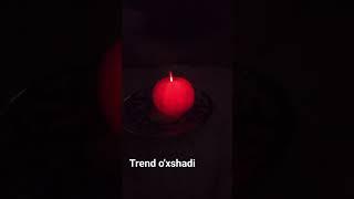 1 января 2024 г.Trend o'xshadi