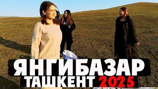 Ташкентский Базар Янгибазар  Цены 2025, Ассортимент и Покупки | Готовим Узбекский Шашлык в Горах 