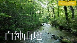 旅するように学ぶ世界遺産『白神山地』