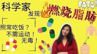 发现新减肥药！不用节食，无需运动，无副作用