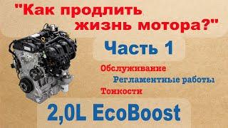 2,0L EcoBoost - Как продлить жизнь мотора? Обслуживание, регламентные работы, тонкости - Часть 1