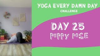 HOW TO: PUPPY POSE | #yogaeverydamnday