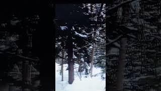 Откуда берется злость?