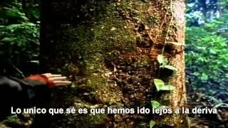 Canción de la Tierra ( Earth Song)-Michael Jackson/Subtitulada en Español