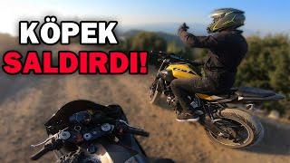 R6 İLE ORMANA GİRDİM KÖPEKLER SALDIRDI! | MOTOVLOG #114