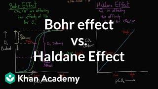 Bohr effect vs. Haldane effect | Human anatomy and physiology | Health & Medicine | Khan Academy