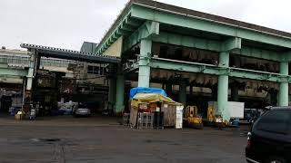 Tsukiji Inner Market 3