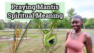 Praying Mantis Spirit Animal Totem | Lessons of the Peaceful Warrior